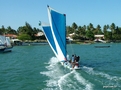 Regata de Canoa e Muta.jpg

145,15 KB 
750 x 557 
17/10/2005
